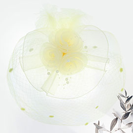 Flower Mesh Veil Feather Fascinator / Headband