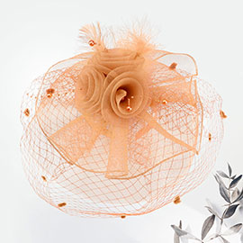 Flower Mesh Veil Feather Fascinator / Headband