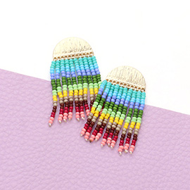 Colorful Seed Bead Fringe Dangle Earrings