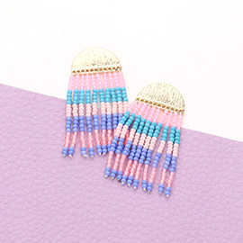 Colorful Seed Bead Fringe Dangle Earrings