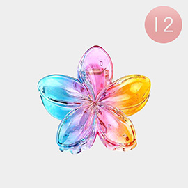 12PCS - Ombre Lucite Flower Hair Claw Clips