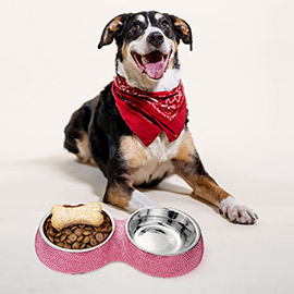 Bling Stainless Steel Double Grid Pet Bowl