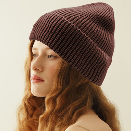 Solid Rib Knit Cuff Beanie Hat