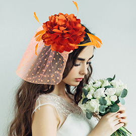 Flower Feather Veil Fascinator / Headband