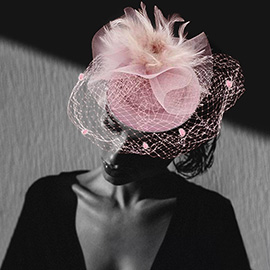 Feather Mesh Fascinator / Headband