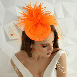 Feather Mesh Fascinator / Headband