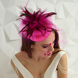 Feather Mesh Fascinator / Headband