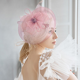 Bow Flower Feather Mesh Fascinator / Headband